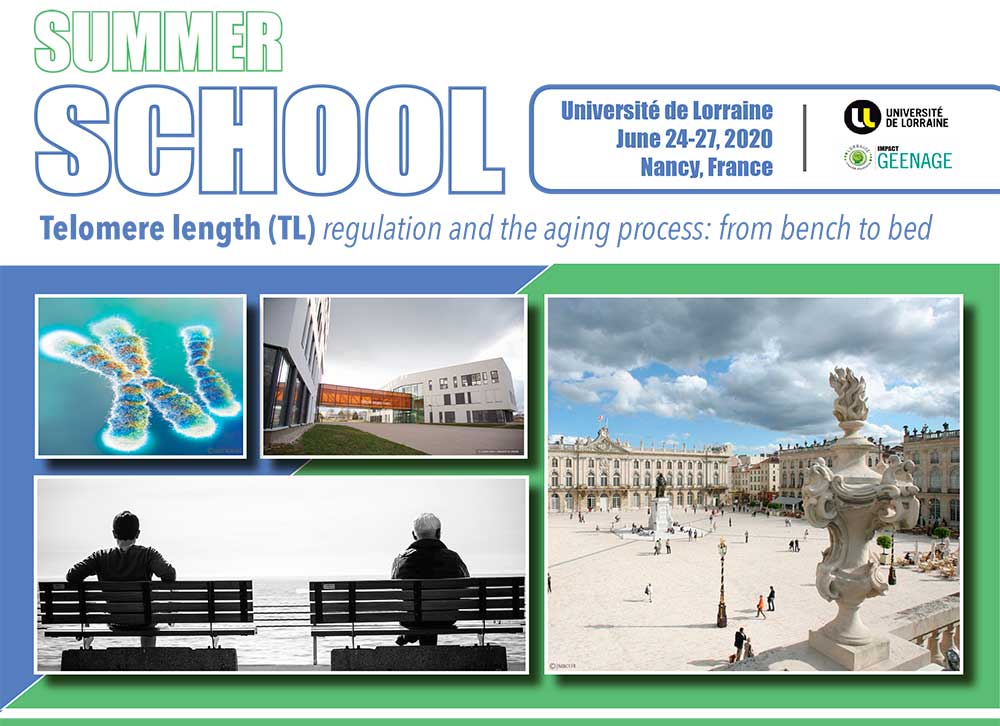 SUMMER-SCHOOL--promotion