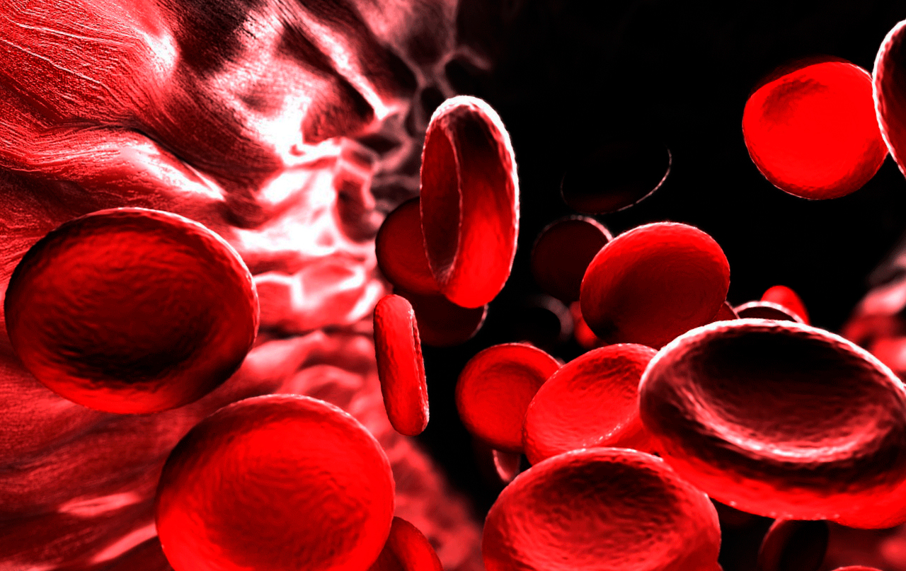Как повысить гемоглобин с помощью питания: советы эксперта