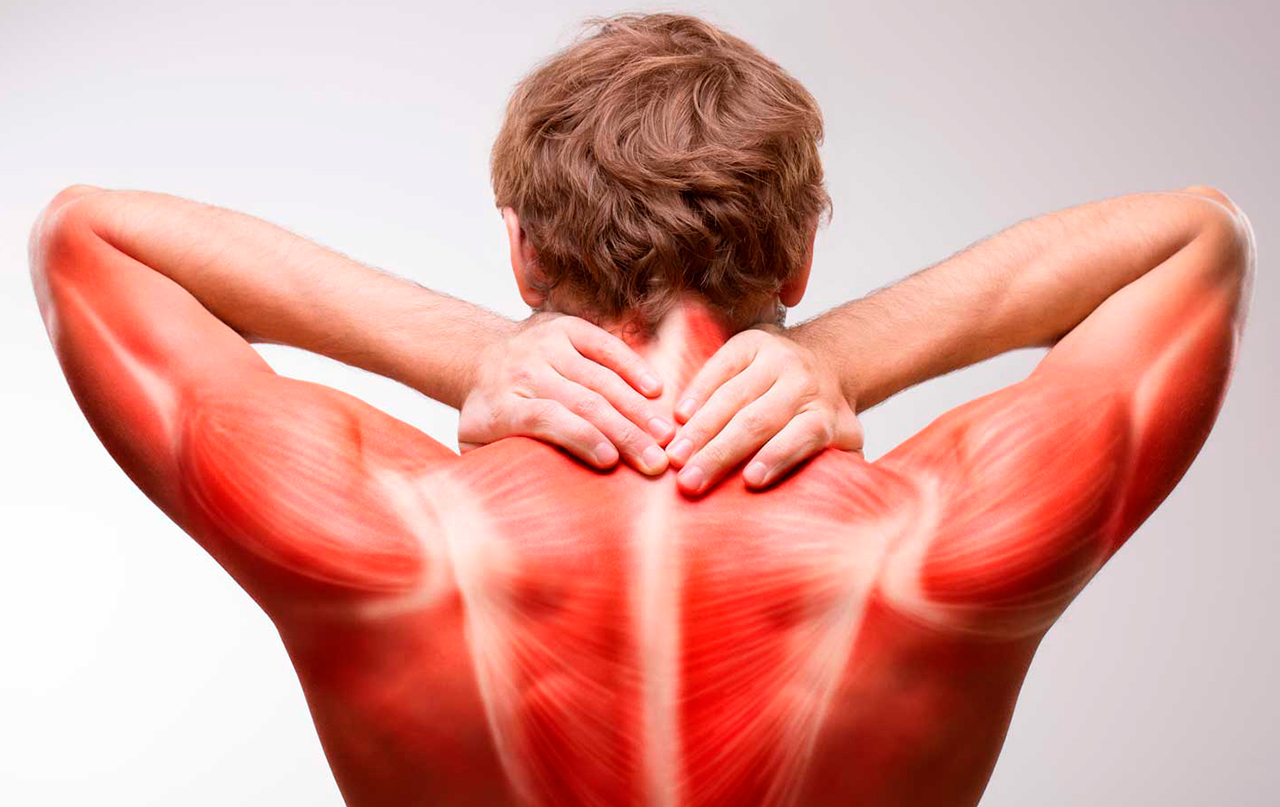 Почему мышцы не болят после тренировки: научные объяснения